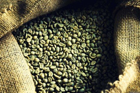 Корисні властивості зеленого кави