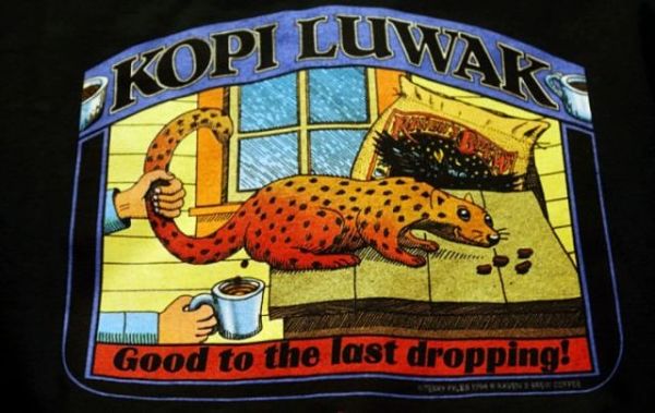 Kopi Luwak – ексклюзивне кава з «родзинкою»