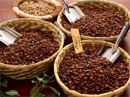 Кава Арабіка: його види та історична довідка