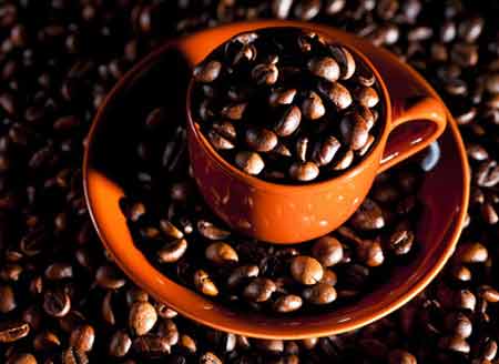 Кава для кавоварки, його види та корисні поради