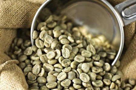 Як правильно приймати зелений кави