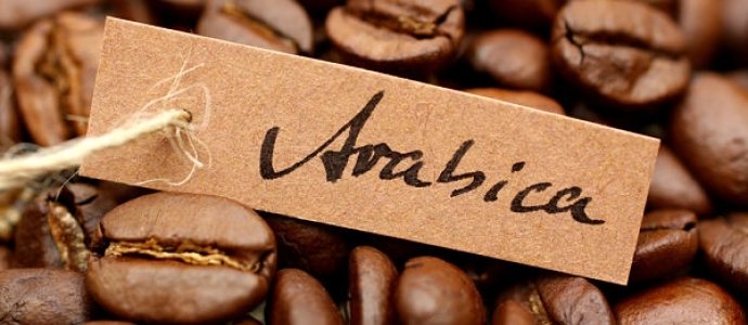 Арабіка: особливості цього виду кави і найбільш відомі світові сорти