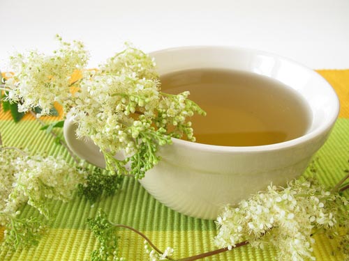 Чай з таволги – корисні властивості та рецепти духмяної трави