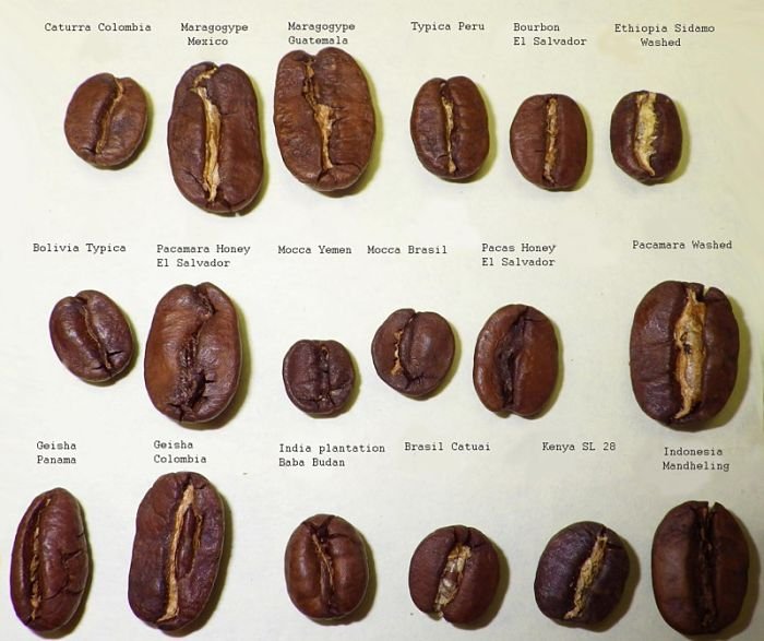Секрети кавового мистецтва або як навчитися розбиратися в сортах кави
