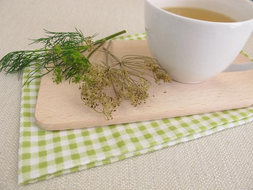 Кроповий чай: корисні властивості та рецепти приготування