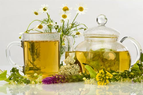 Березовий чай: користь і шкода, рецепти з листям і бруньками берези