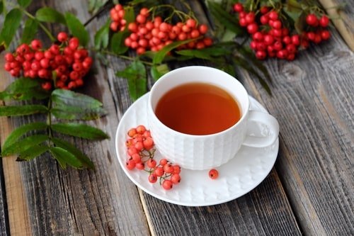Чай з горобини червоної: корисні властивості та рецепти